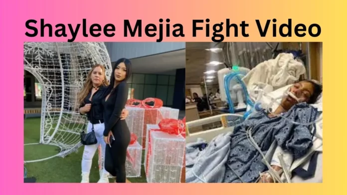 Shaylee Mejia Fight Video