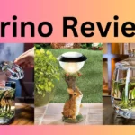 Rerino Reviews
