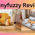 Funnyfuzzy Reviews