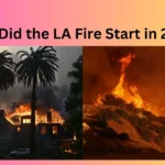 How Did the LA Fire Start in 2025?