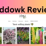 Maddowk Reviews