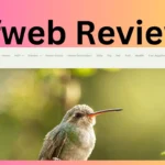 Lifweb Reviews