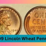 1909 Lincoln Wheat Pennies