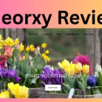 Blueorxy Reviews