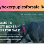 Qualityboxerpupiesforsale Reviews