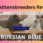Babykittensbreeders Reviews