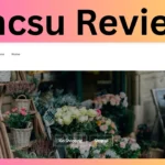 Kincsu Reviews