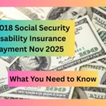 $4,018 Social Security Disability Insurance Payment Nov 2025